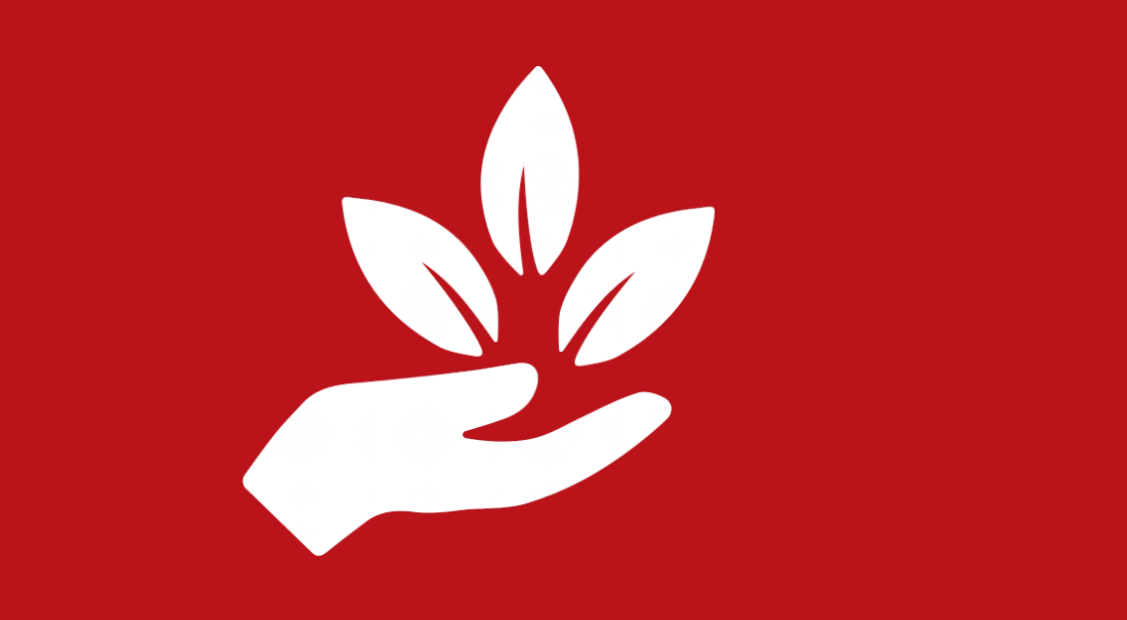 ACTIFS NATURELS