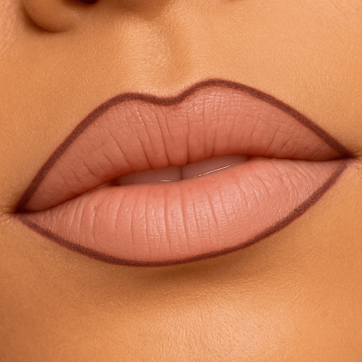 crayon-contour-des-levres-mat-cremeux-waterproof-longue-tenue-sans-transfert-perfect-line-24h-lips-by-monica